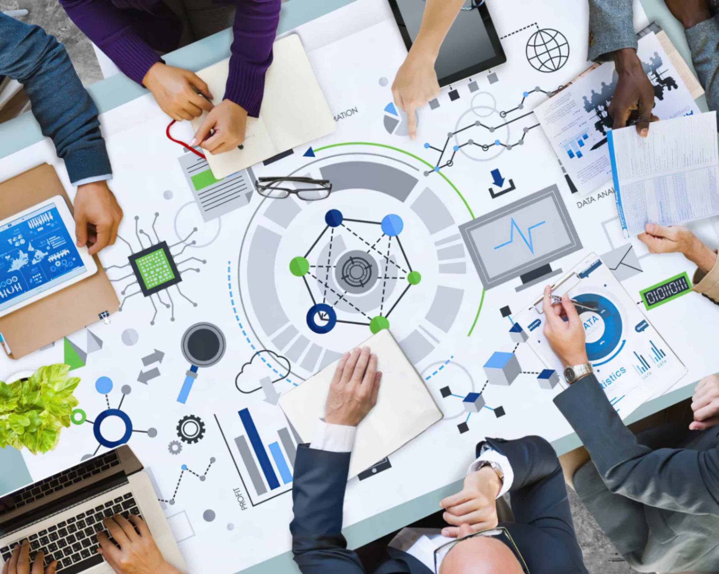 Why Choose InsightMint for Financial Analysis and Investment Education